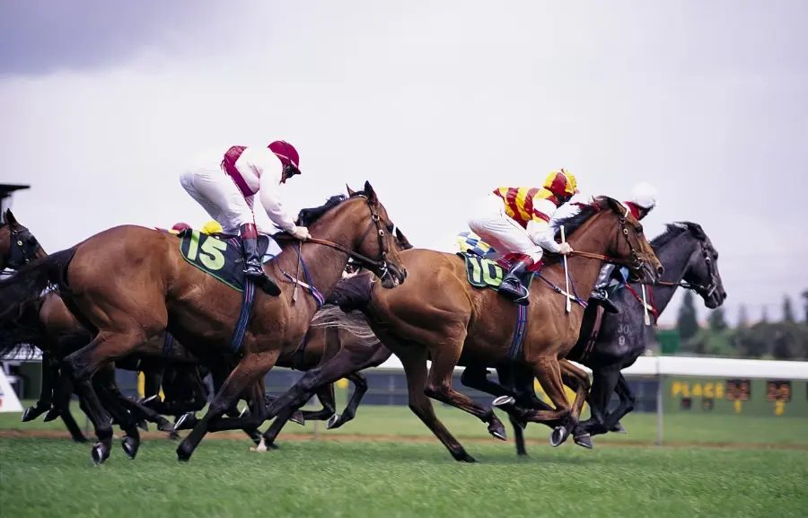 The National Horseracing Museum: A Tribute to the Sport of Kings The National Horseracing Museum: A Tribute to the Sport of Kings
